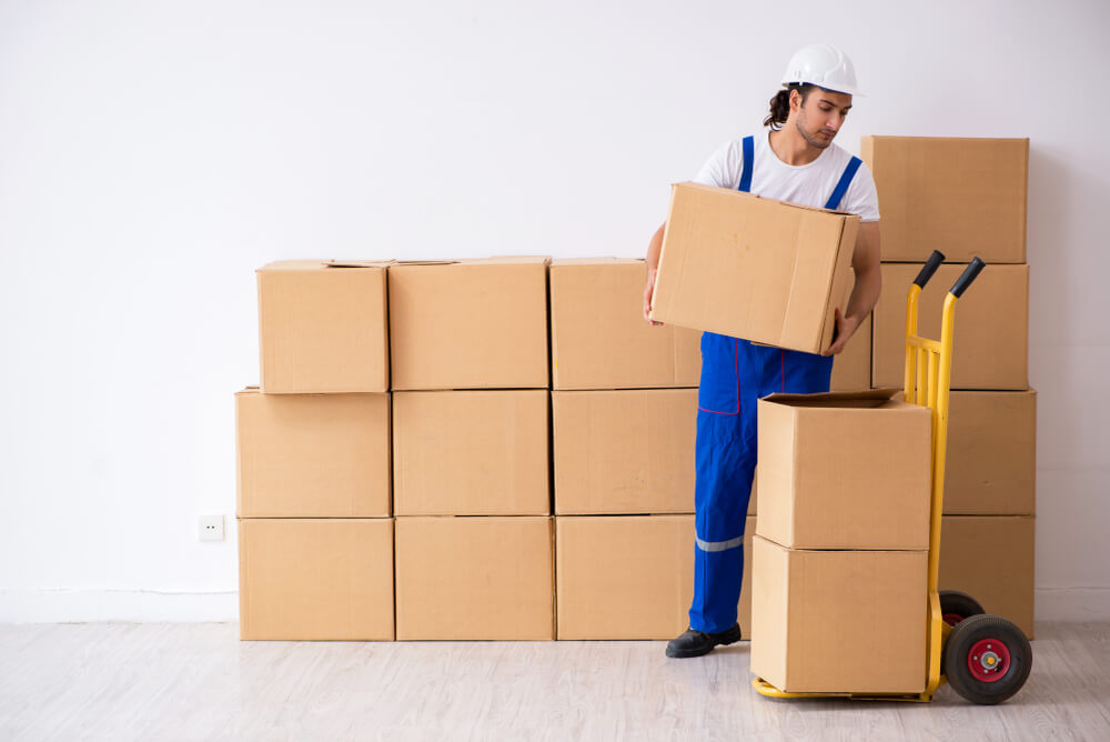 Moving Day Essentials Box